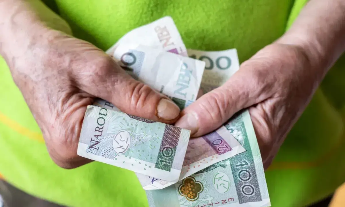 Dłonie trzymają polskie banknoty: 10, 20 i 100 zł. To może być pomoc z tytułu renta socjalna.