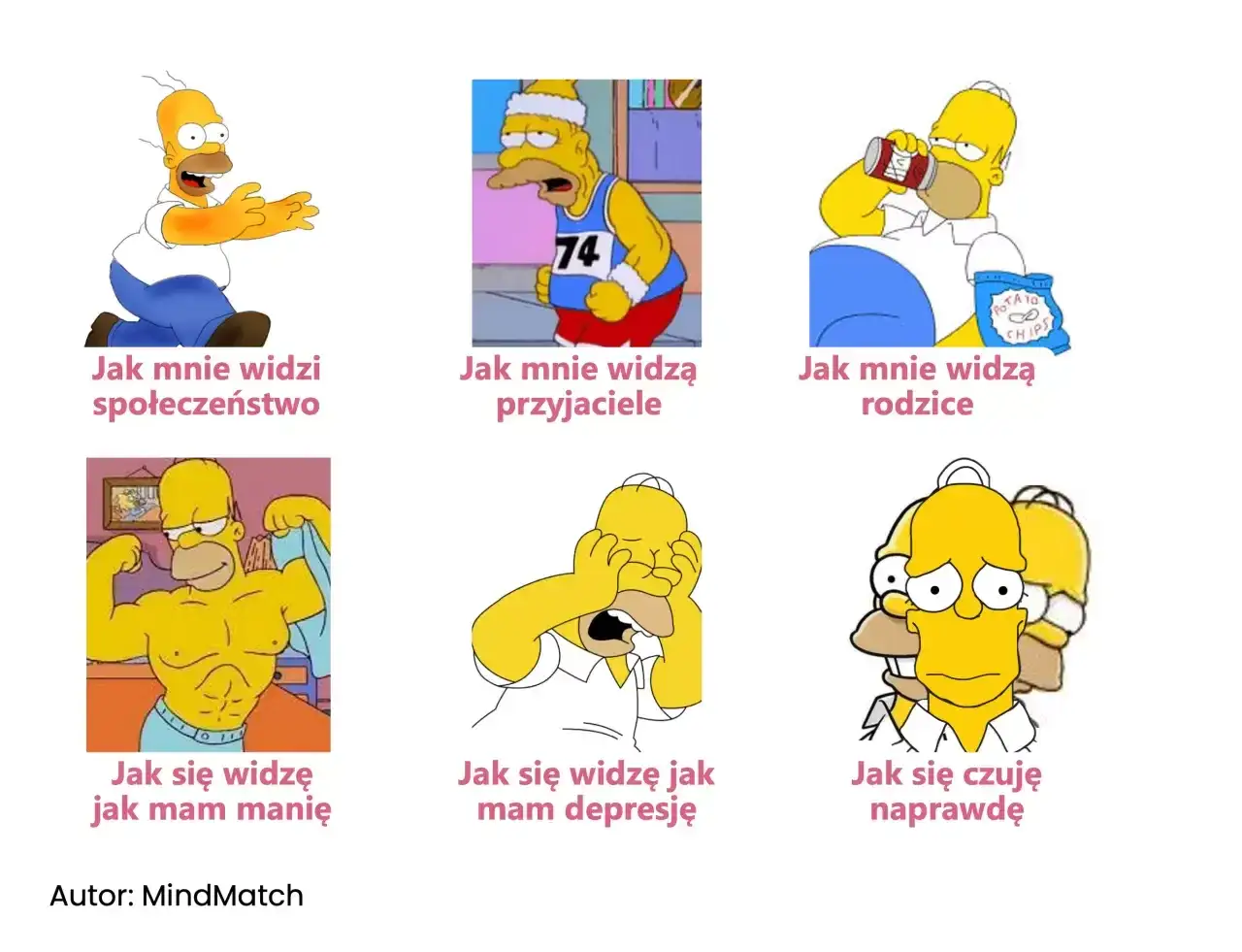Homer Simpson w różnych stanach, ilustrujących chorobę dwubiegunową: od euforii po depresję.