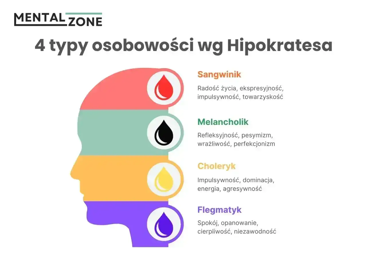 Profil głowy z podziałem na 4 typy temperamentu wg Hipokratesa: sangwinik, melancholik, choleryk, flegmatyk.